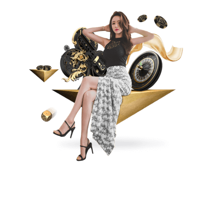 韬光养晦网 v8.5.85 官方安装版 1